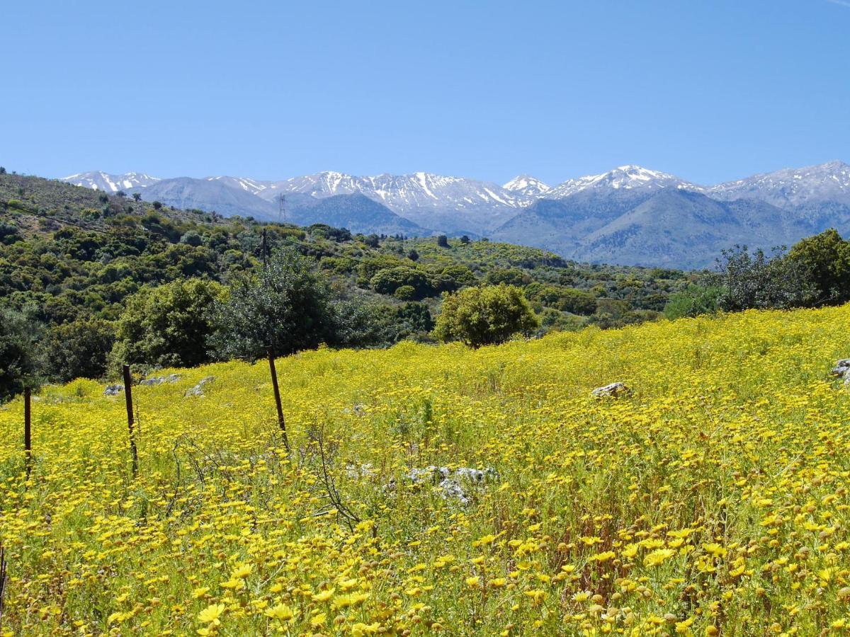 Villa Amvrosia Nr Kalives Crete Αρμένοι Εξωτερικό φωτογραφία